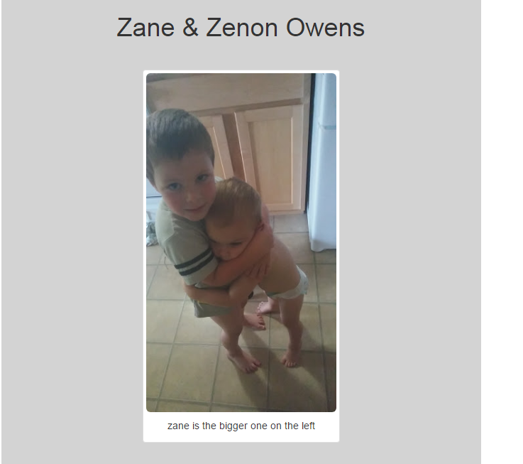 zane and zeonon my boys